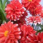 El Patio Azul Bohemio Magico