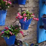 El Patio Azul Bohemio Magico Daire Cordoba