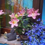 El Patio Azul Bohemio Magico Daire *