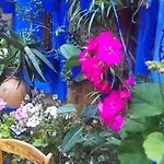 Daire El Patio Azul Bohemio Magico