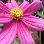 Daire El Patio Azul Bohemio Magico Cordoba