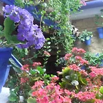 Daire El Patio Azul Bohemio Magico Cordoba