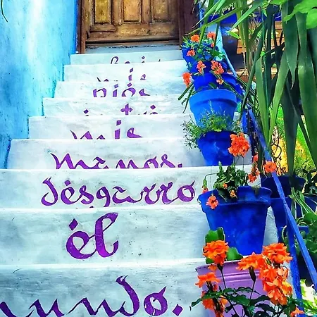 Patio Vesubio El Patio Azul Bohemio Magico *