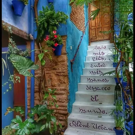 El Patio Azul Bohemio Magico 公寓 *