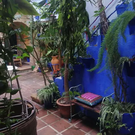 Patio Vesubio El Patio Azul Bohemio Magico *