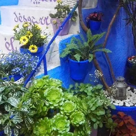 El Patio Azul Bohemio Magico *