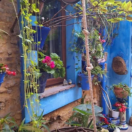 公寓 El Patio Azul Bohemio Magico *