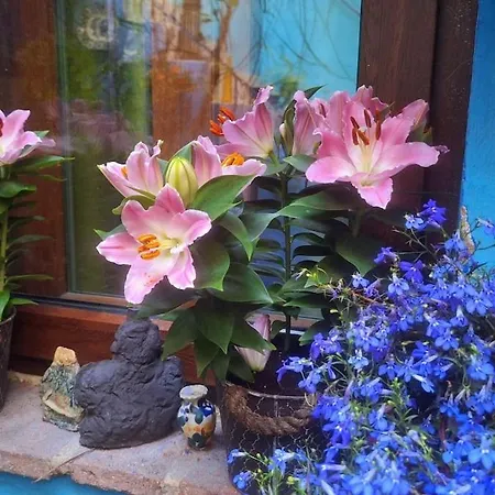 El Patio Azul Bohemio Magico 아파트 *