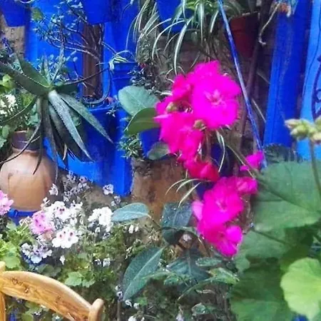 公寓 El Patio Azul Bohemio Magico