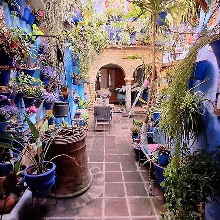 El Patio Azul Bohemio Magico 아파트 *
