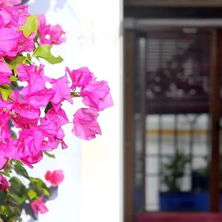 El Patio Azul Bohemio Magico