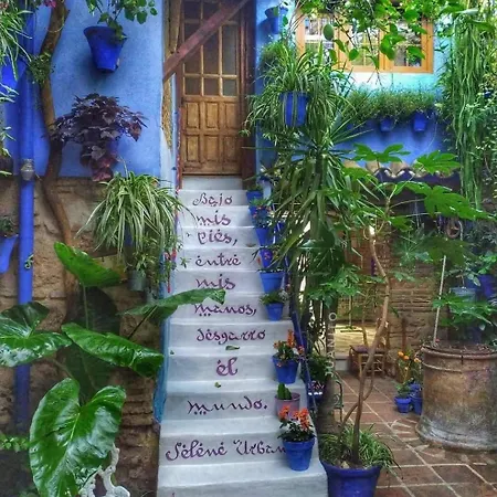 Patio Vesubio El Patio Azul Bohemio Magico *