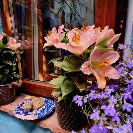 El Patio Azul Bohemio Magico