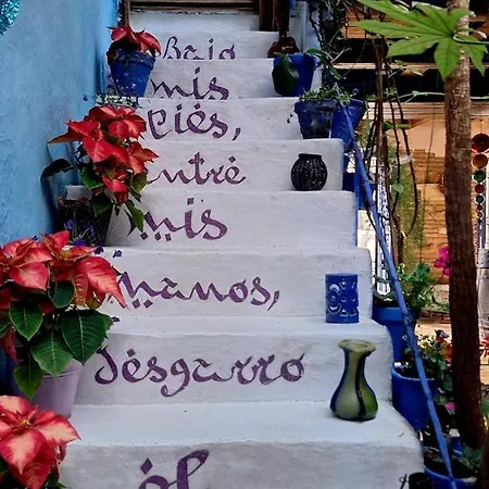 El Patio Azul Bohemio Magico * 科爾多瓦