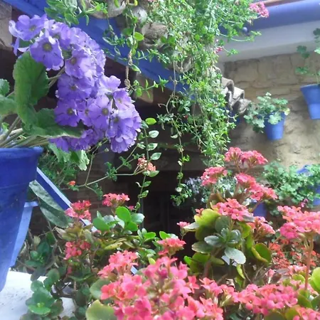 Апартаменты El Patio Azul Bohemio Magico Кордова