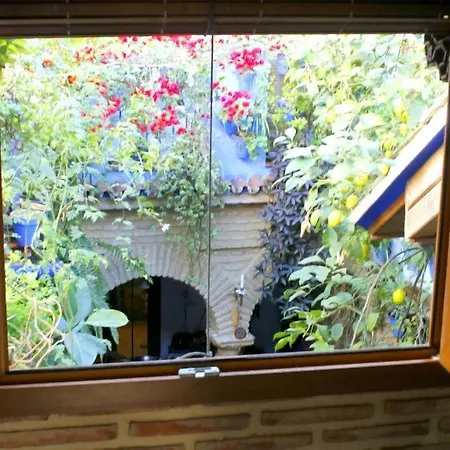El Patio Azul Bohemio Magico Daire Cordoba