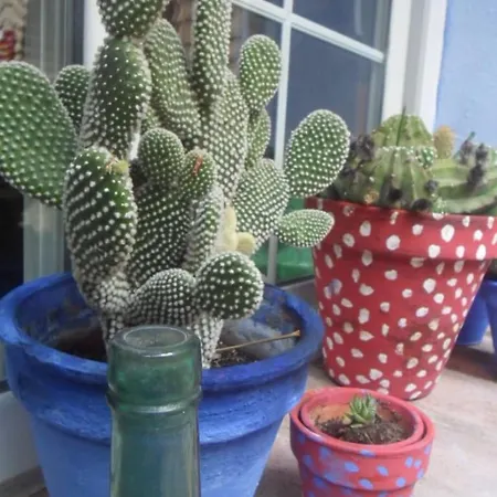 El Patio Azul Bohemio Magico 코르도바