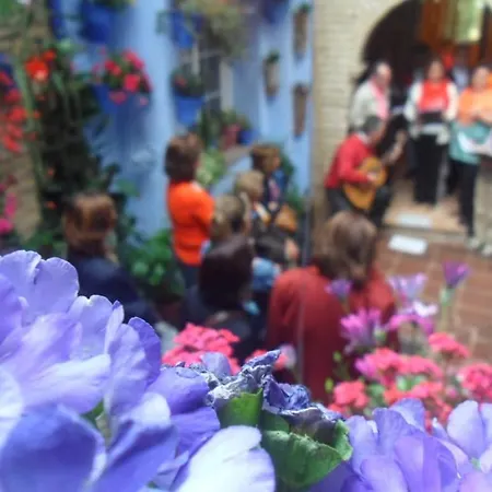 公寓 El Patio Azul Bohemio Magico *