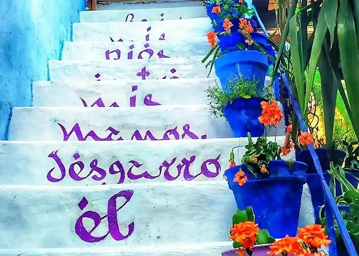 El Patio Azul Bohemio Magico *