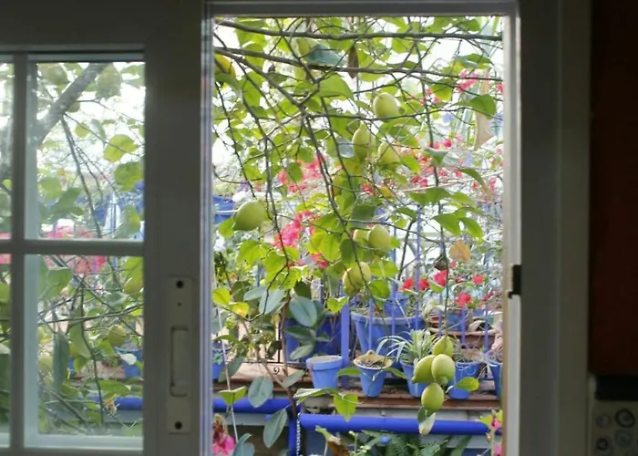 Apartament El Patio Azul Bohemio Magico Kordoba