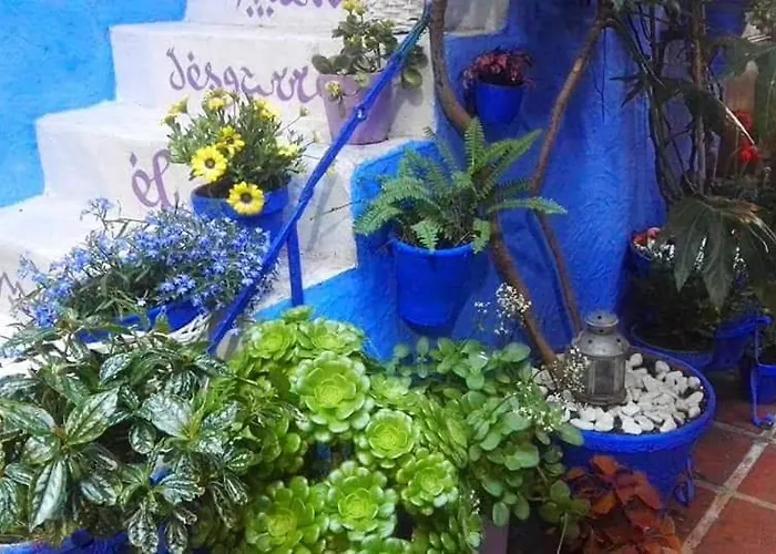 El Patio Azul Bohemio Magico *