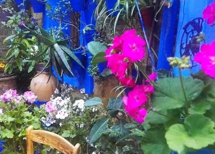 Apartament El Patio Azul Bohemio Magico