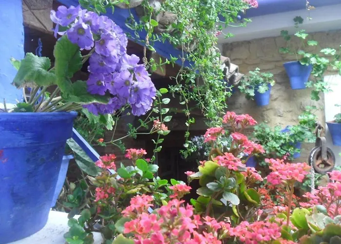 Apartament El Patio Azul Bohemio Magico Kordoba