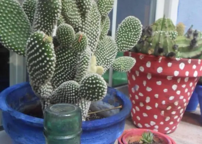 El Patio Azul Bohemio Magico Kordoba