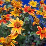 Apartamento El Patio Azul Bohemio Mágico