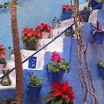 Apartamento El Patio Azul Bohemio Mágico *