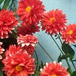 El Patio Azul Bohemio Mágico Córdova