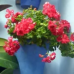 El Patio Azul Bohemio Mágico Apartamento Córdova