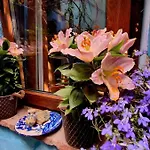 El Patio Azul Bohemio Mágico