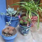 Apartamento El Patio Azul Bohemio Mágico Córdova