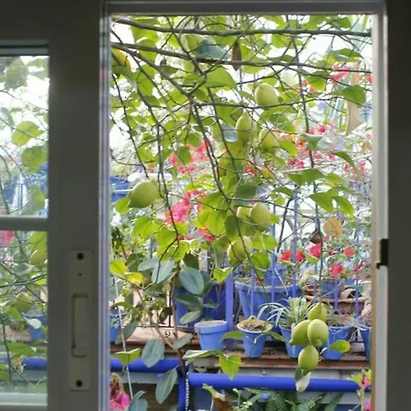 Апартаменты El Patio Azul Bohemio Magico Кордова