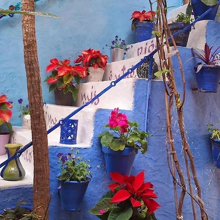Апартаменты El Patio Azul Bohemio Magico *