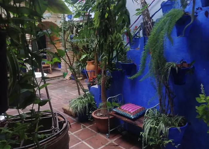 El Patio Azul Bohemio Magico *