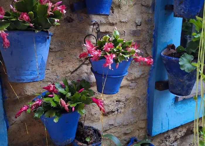 El Patio Azul Bohemio Magico Апартаменты Кордова