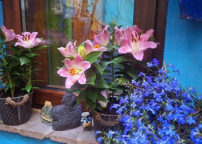 El Patio Azul Bohemio Magico Апартаменты *