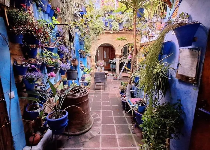 El Patio Azul Bohemio Magico Апартаменты *