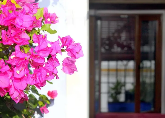 El Patio Azul Bohemio Magico