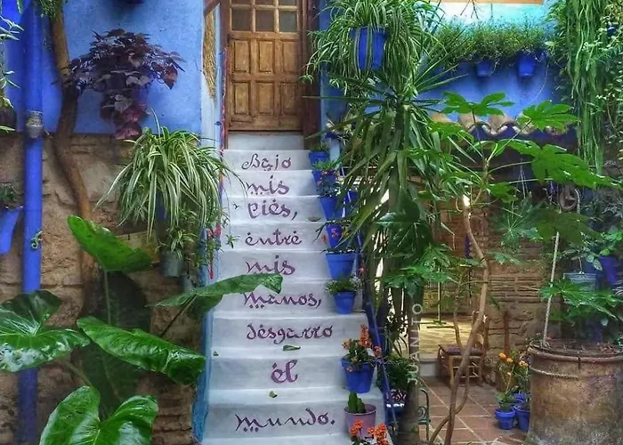 El Patio Azul Bohemio Magico *