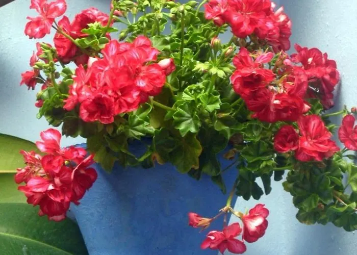 El Patio Azul Bohemio Magico Апартаменты Кордова