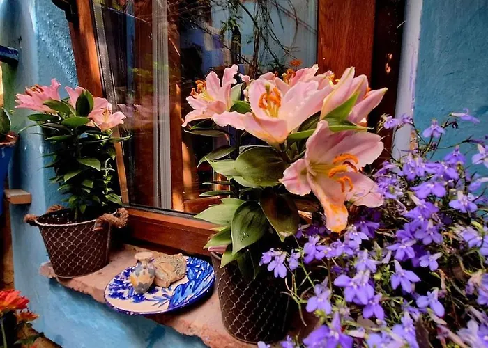 El Patio Azul Bohemio Magico