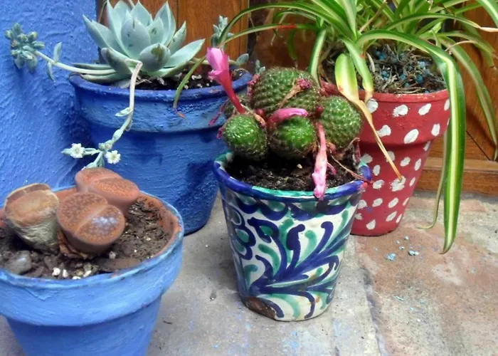 El Patio Azul Bohemio Magico Кордова